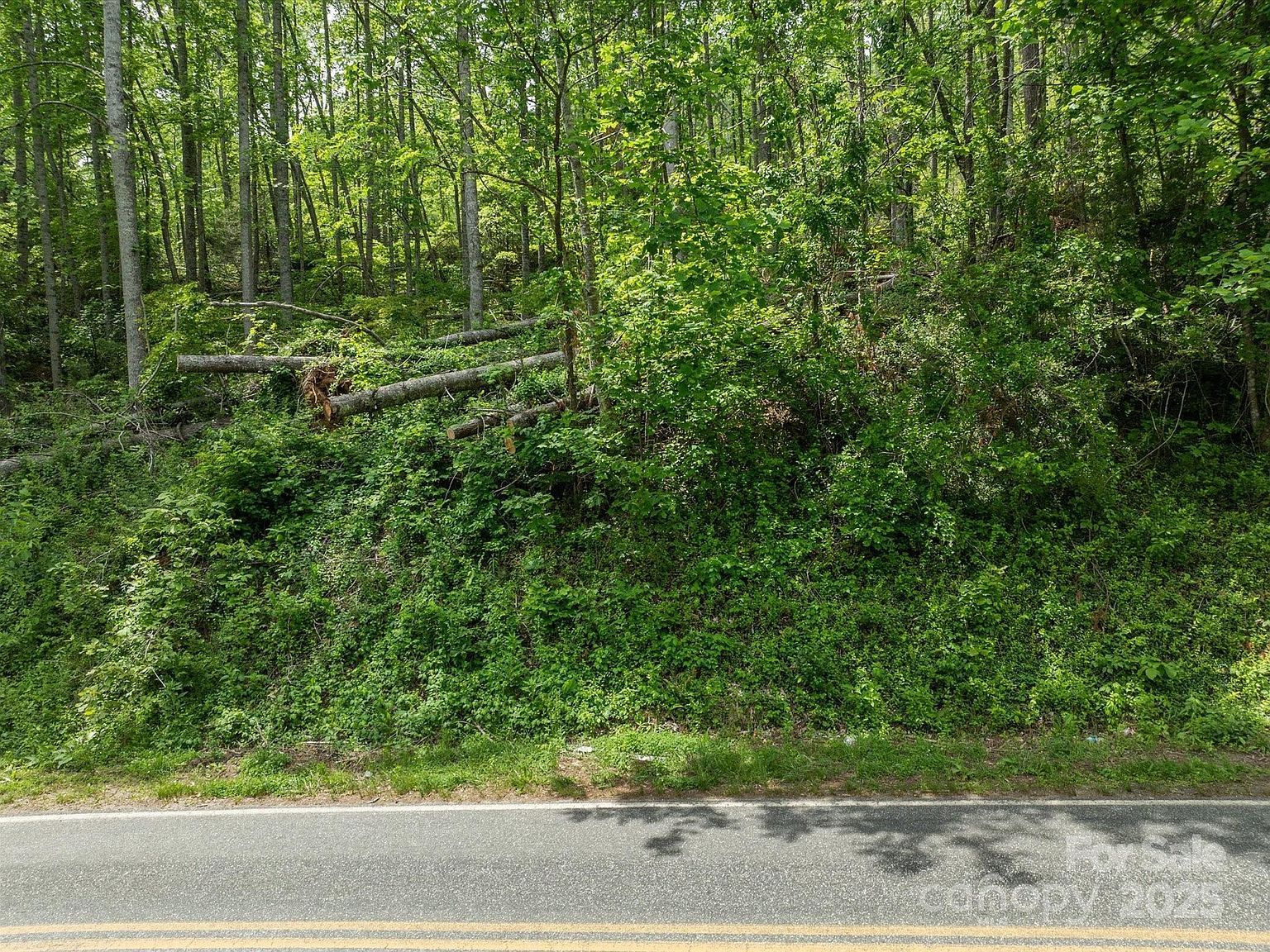 99999 Moody Cove Rd #2 Weaverville, NC 28787  | Land/Lot