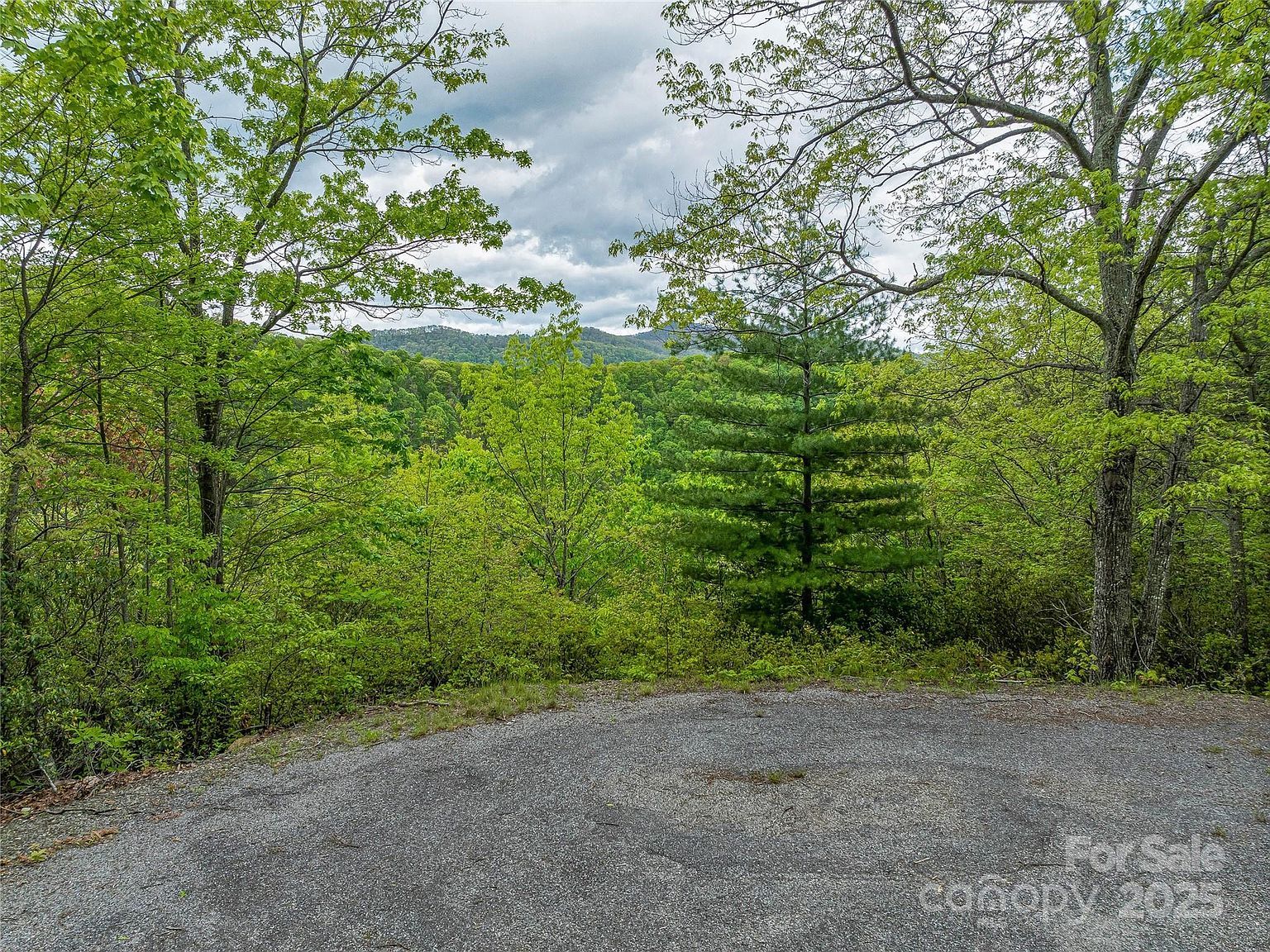 59 Pisgah Mountain Trl Candler, NC 28715  | Land/Lot