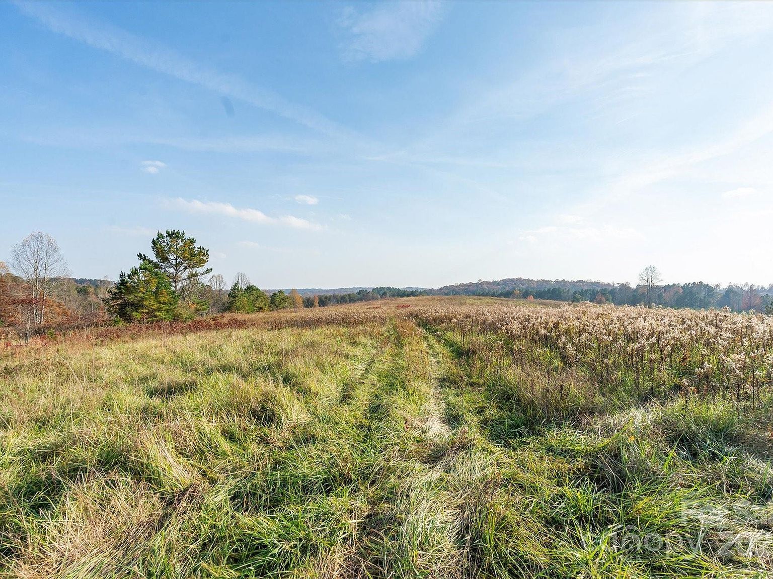 1888 Pea Ridge Rd Mill Spring, NC 28756  | Land/Lot