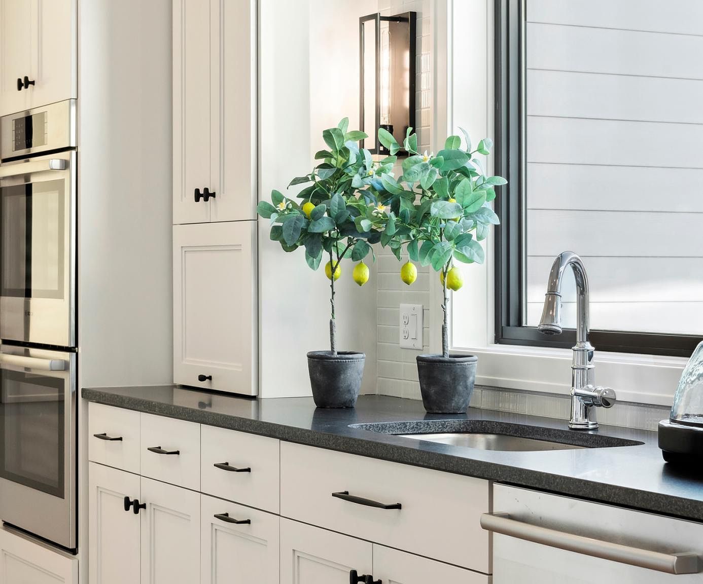 707 Ensconced Way Chaska, MN 55318  | Single Family