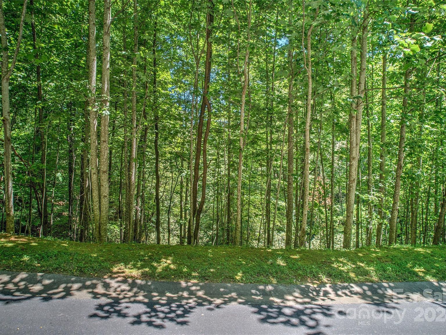 567 Shining Rock Path Horse Shoe, NC 28742 | Land/Lot