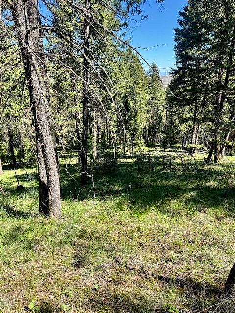1798 Rocky Top Rd Hamilton, MT 59840  | Land/Lot
