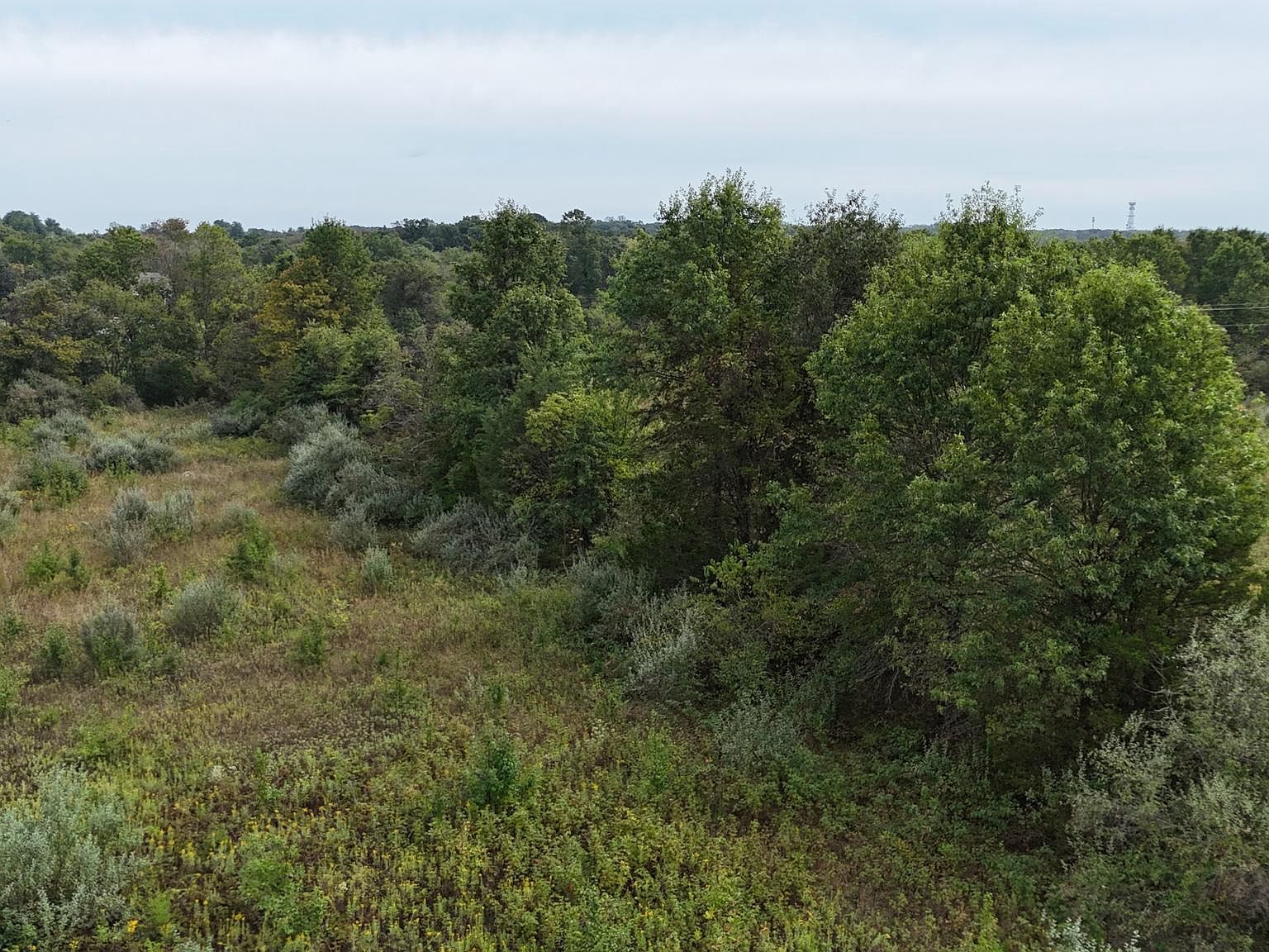 Delta Diamond Ln Leesburg, VA 20175 | Land/Lot