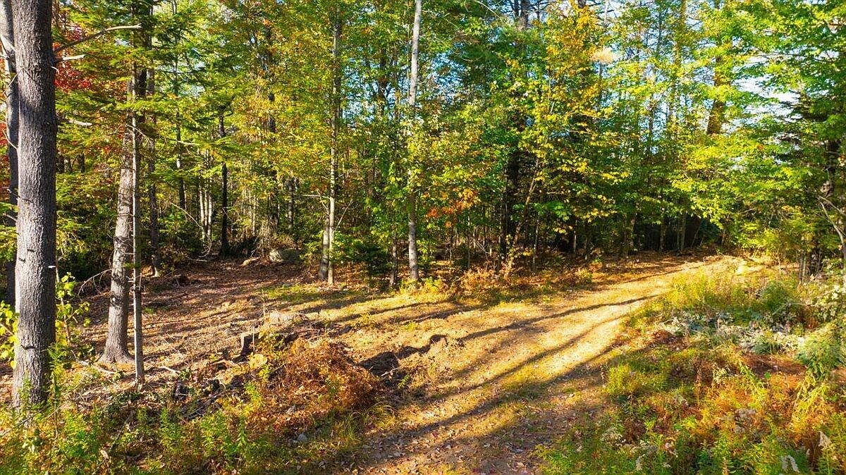 729 Main St Sumner, ME 04292  | Land/Lot