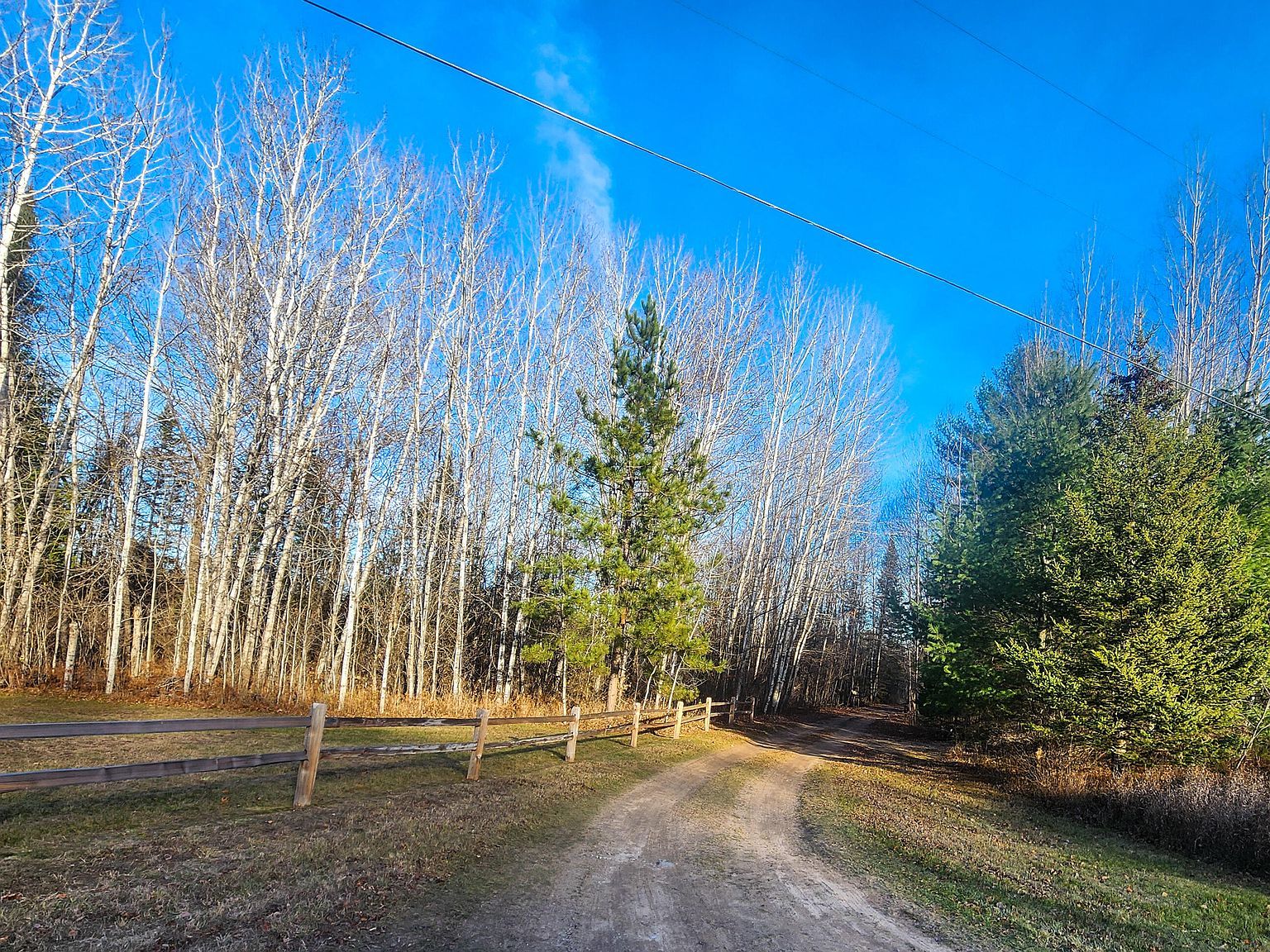 0 Douglas Rd Cheboygan, MI 49721 | Land/Lot