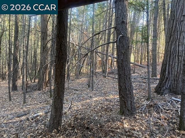 9471 Wildcat Rd Kelseyville, CA 95451  | Land/Lot