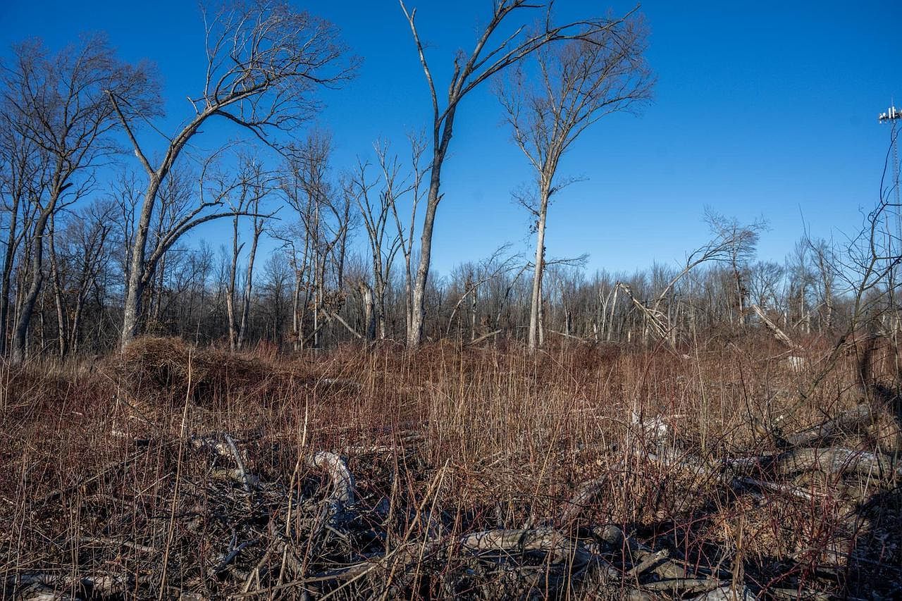 LOT 2 Grosbeak Ave Tomah, WI 54660  | Land/Lot