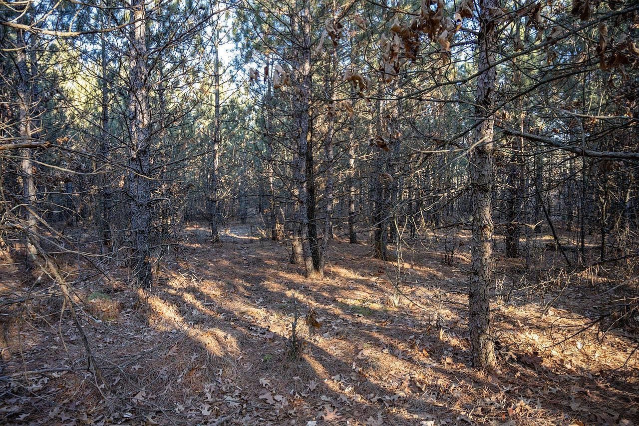 LOT 2 11th Dr #240009400 Friendship, WI 53934  | Land/Lot