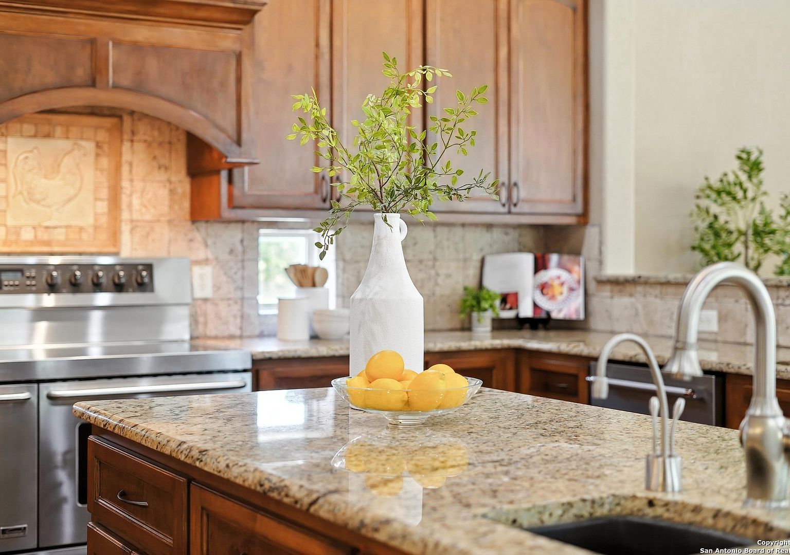 7607 Sky Loop San Antonio, TX 78266 | Single Family