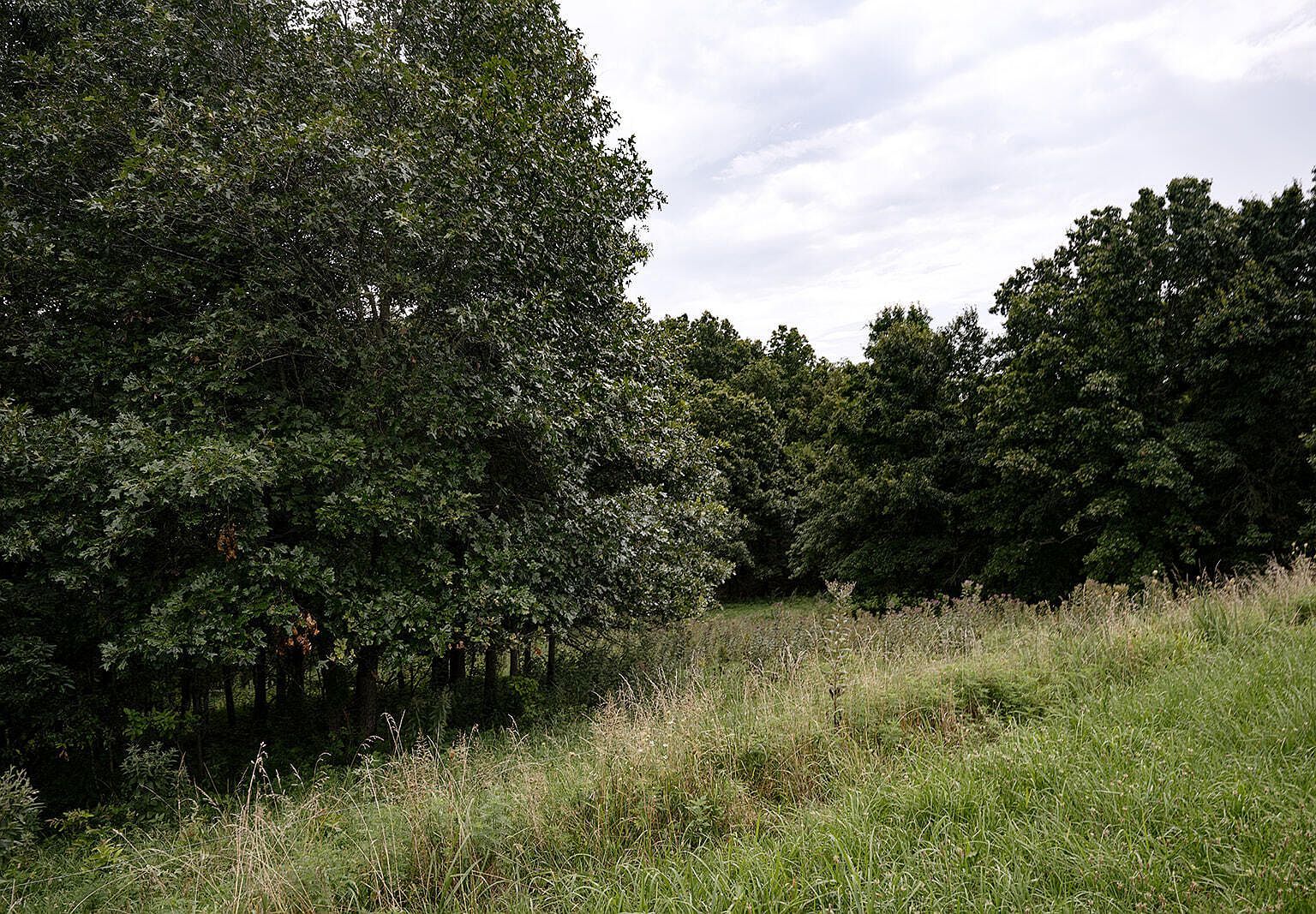 0 County Road 443 Cross Timbers, MO 65634  | Land/Lot