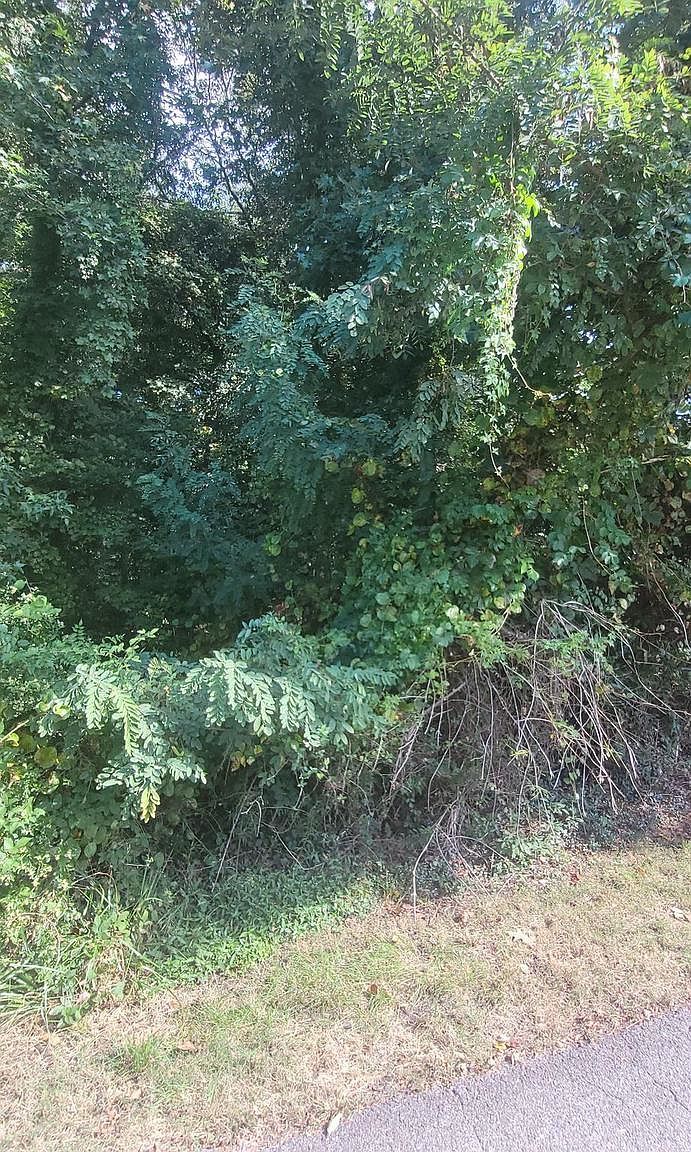 11265 Keokee Ct Issue, MD 20645 | Land/Lot