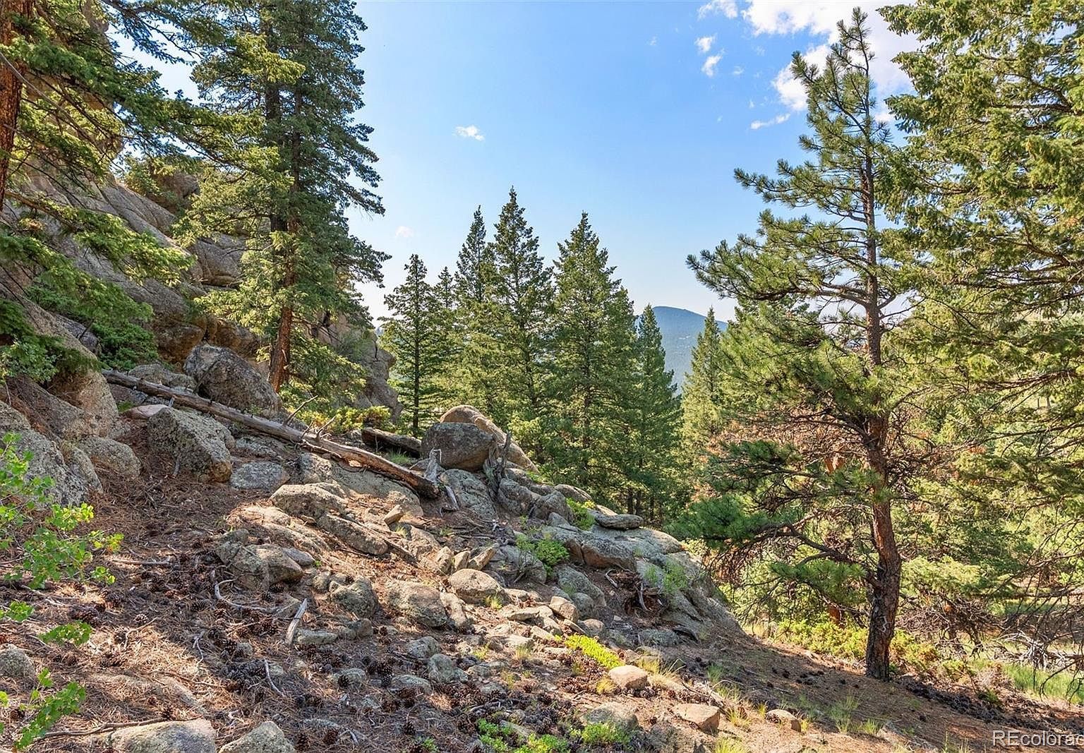 6371 Canyon Creek Rd #12 Evergreen, CO 80439  | Land/Lot