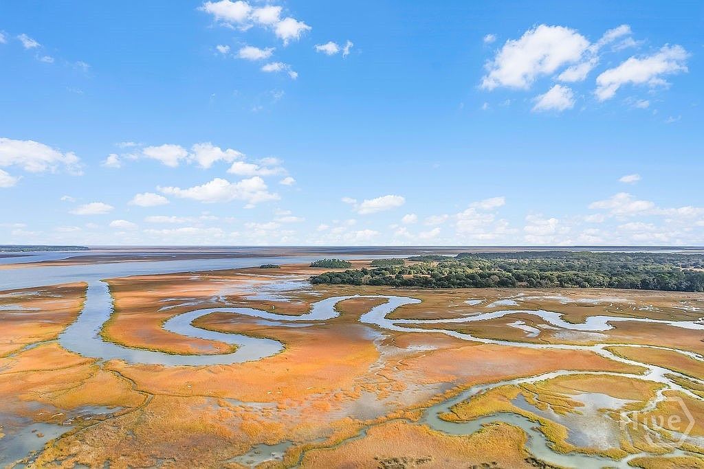 5 Fair Hope Ln Townsend, GA 31331  | Single Family