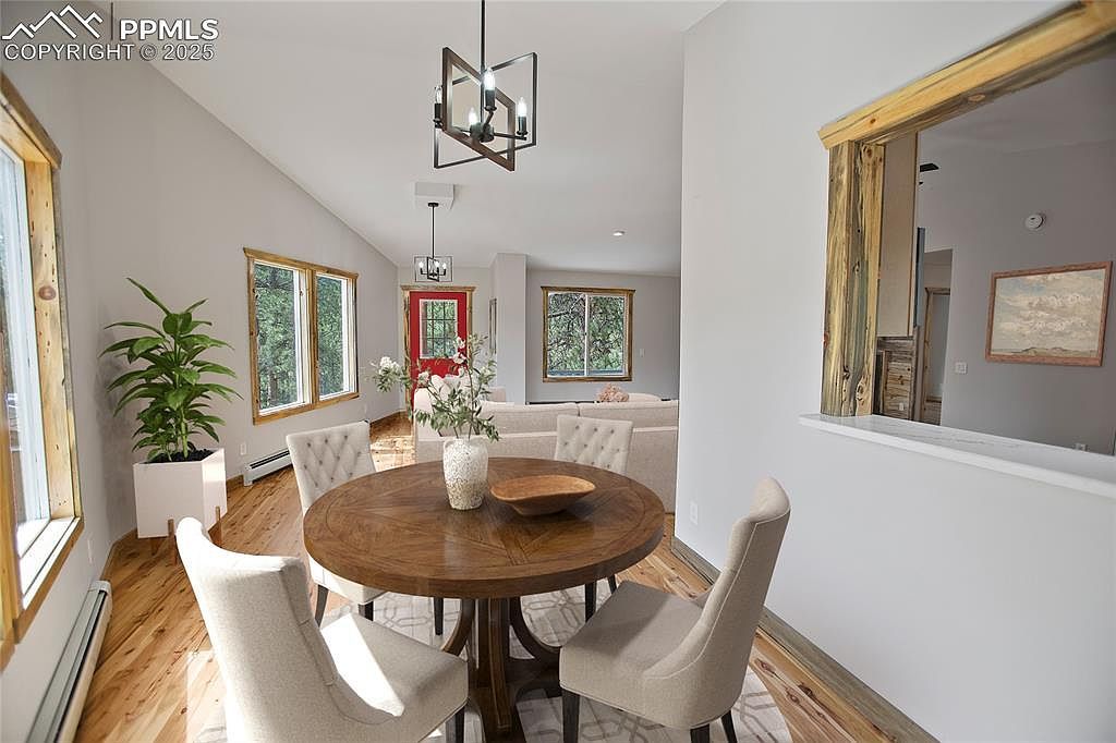 117 Rabbil Creek Trl Florissant, CO 80816 | Single Family