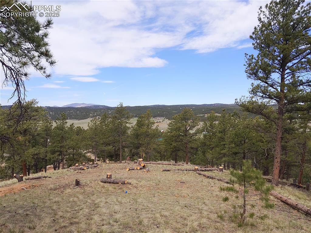 28 Pinnacle Cir Florissant, CO 80816 | Land/Lot