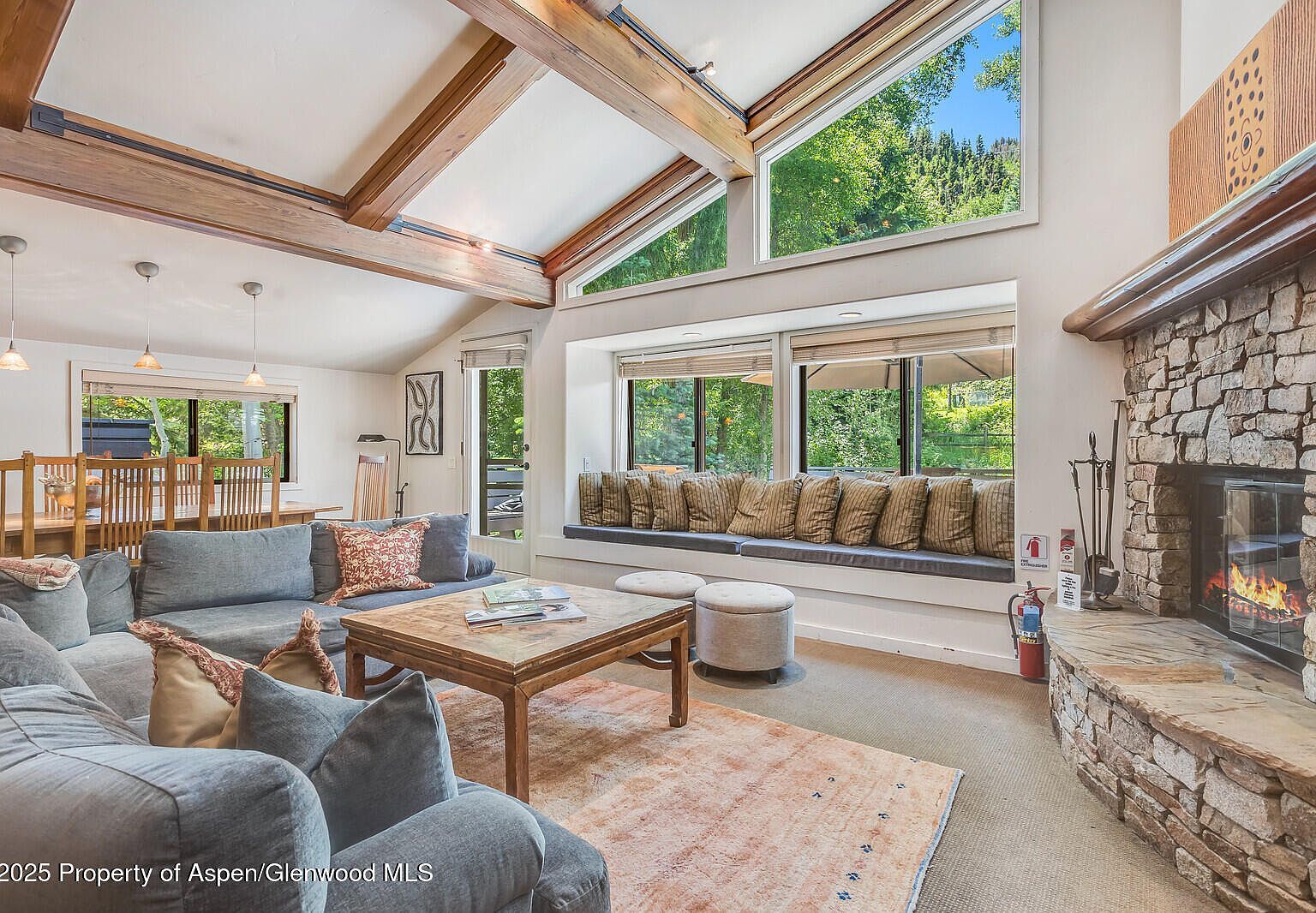 851 Ute Ave #B Aspen, CO 81611 | New build