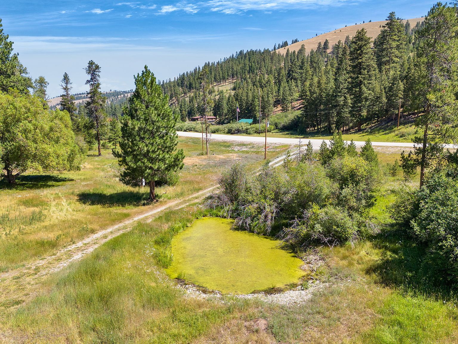 8131 Us Highway 93 S Sula, MT 59871  | Land/Lot