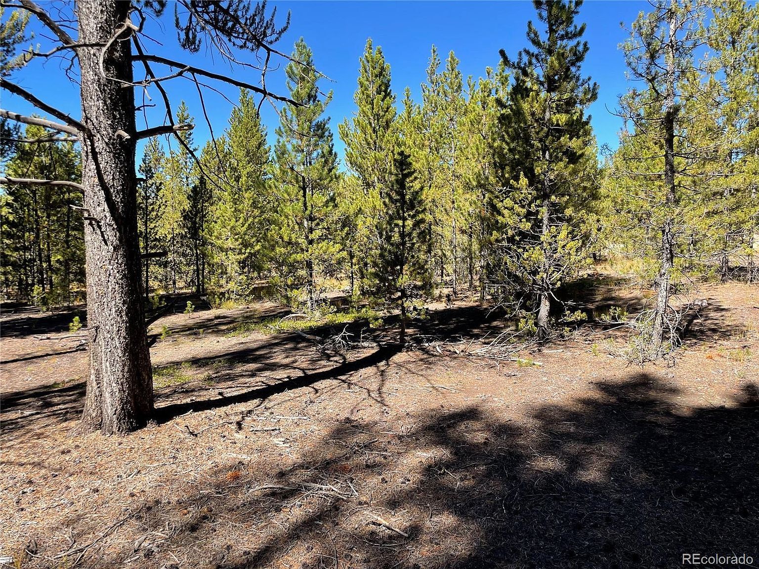 451 Virginia Ave Leadville, CO 80461  | Land/Lot
