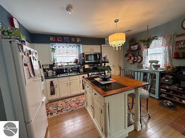 18575 Royena Dr Marion, MI 49665  | Single Family