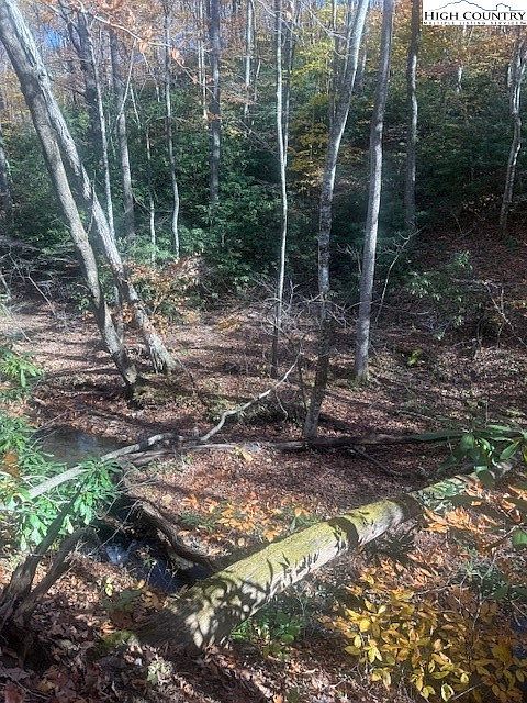 16 Tbd Old Hwy Jefferson, NC 28640 | Land/Lot