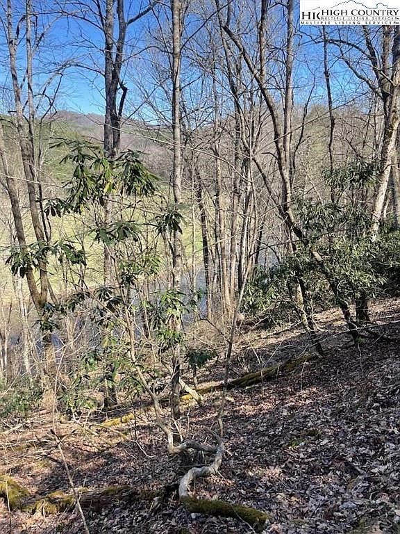 Spruce Ln Crumpler, NC 28617  | Land/Lot