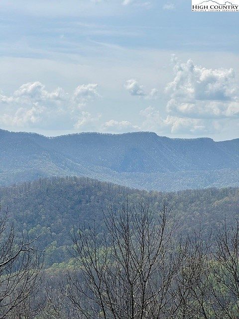 LOT 38 Crown Spruce Ln West Jefferson, NC 28694  | Land/Lot