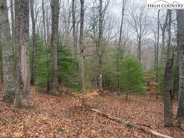 Clearview Rdg Crumpler, NC 28617 | Land/Lot