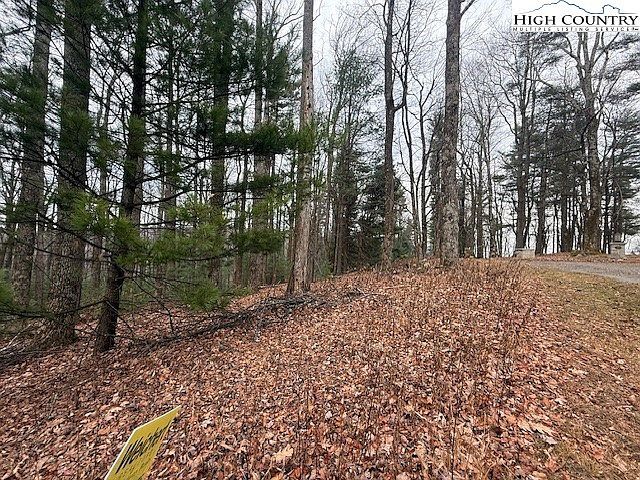 Jobs Rd Laurel Springs, NC 28644  | Land/Lot