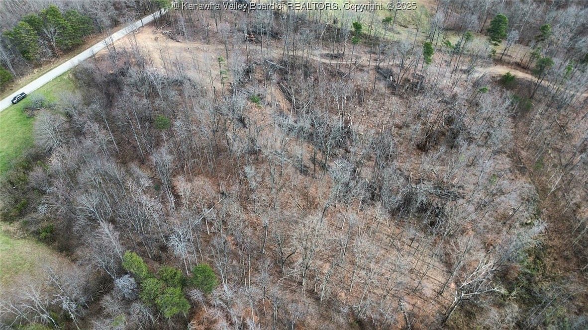 0 Stone Lick Rd Parcel B Kenna, WV 25248 | Land/Lot