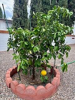 91 E Los Mangos Green Valley, AZ 85614 | Single Family