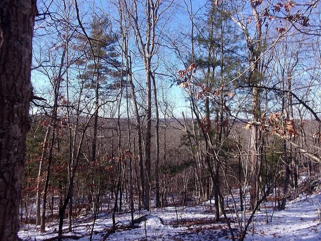 90 Chestnut Hill Rd Millville, MA 01529  | Land/Lot