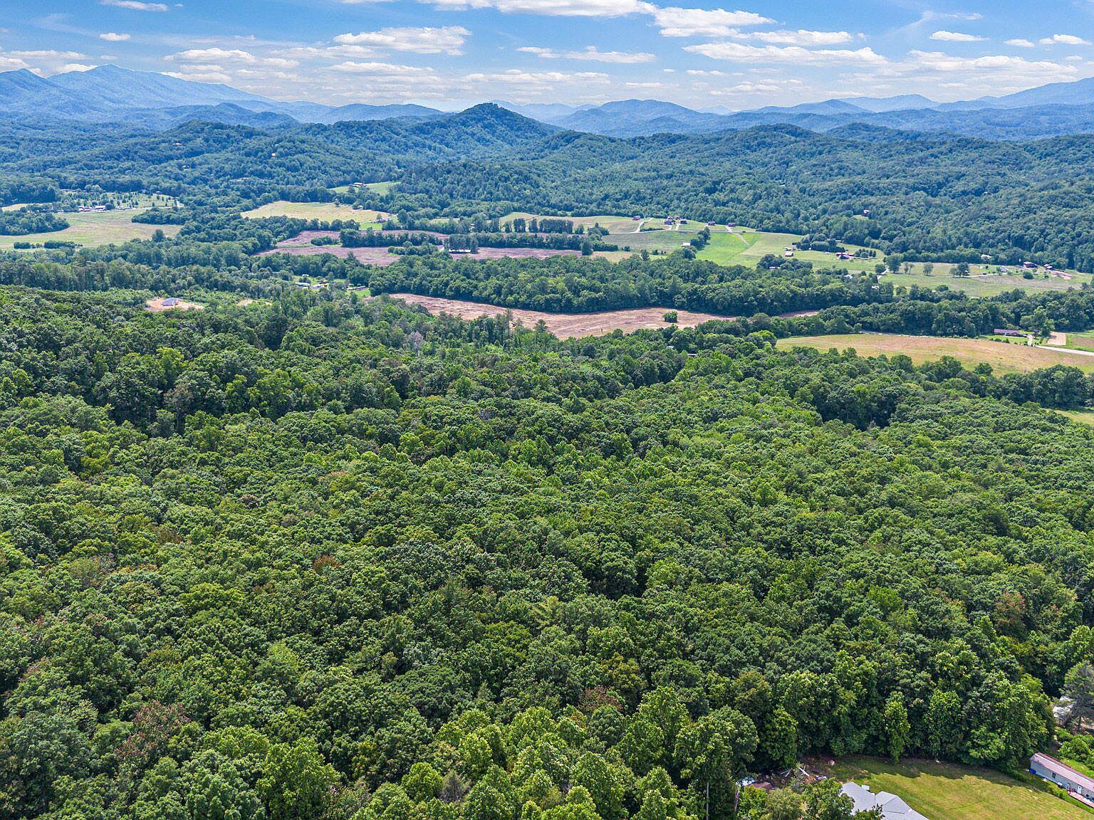 0 Hopkins Rd Cosby, TN 37722  | Land/Lot