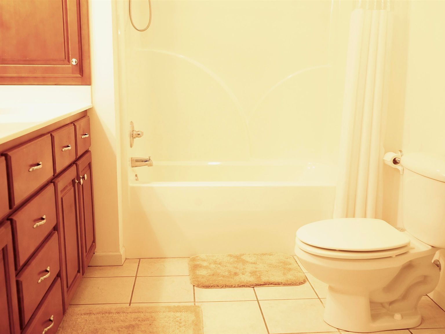 170 Ping Hill Cv Counce, TN 38326 | Single Family