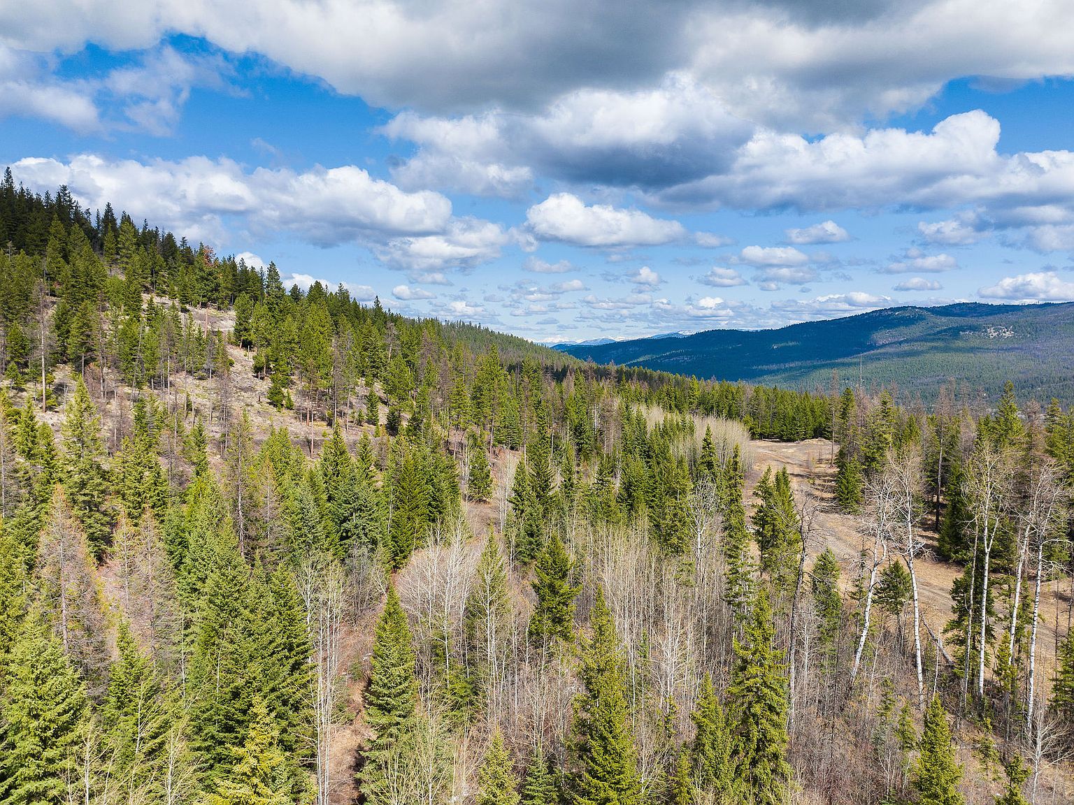 991 Haskill Ranch Rd Kila, MT 59920  | Land/Lot