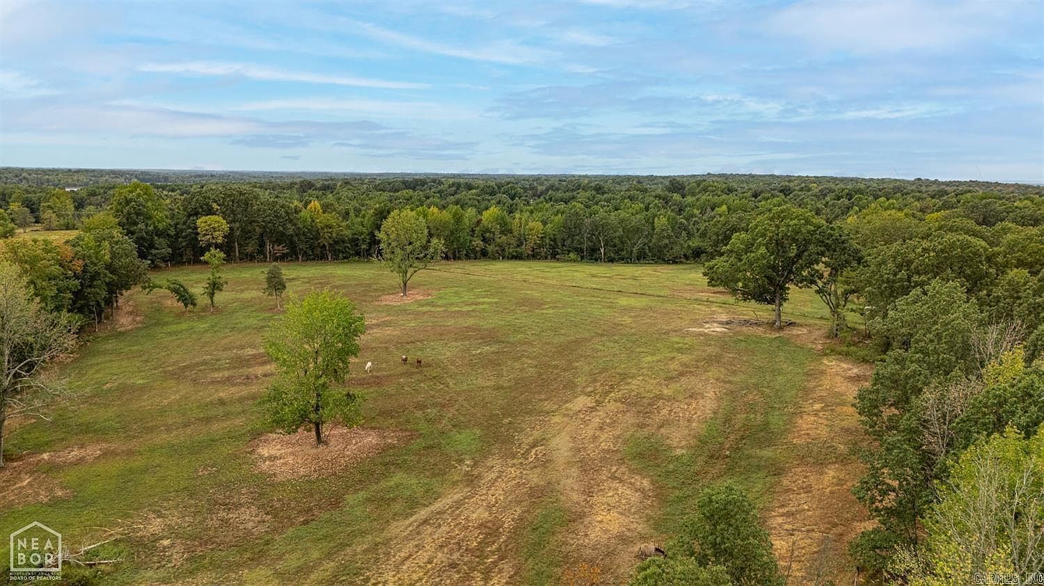 (undisclosed Address) Jonesboro, AR 72401  | Land/Lot