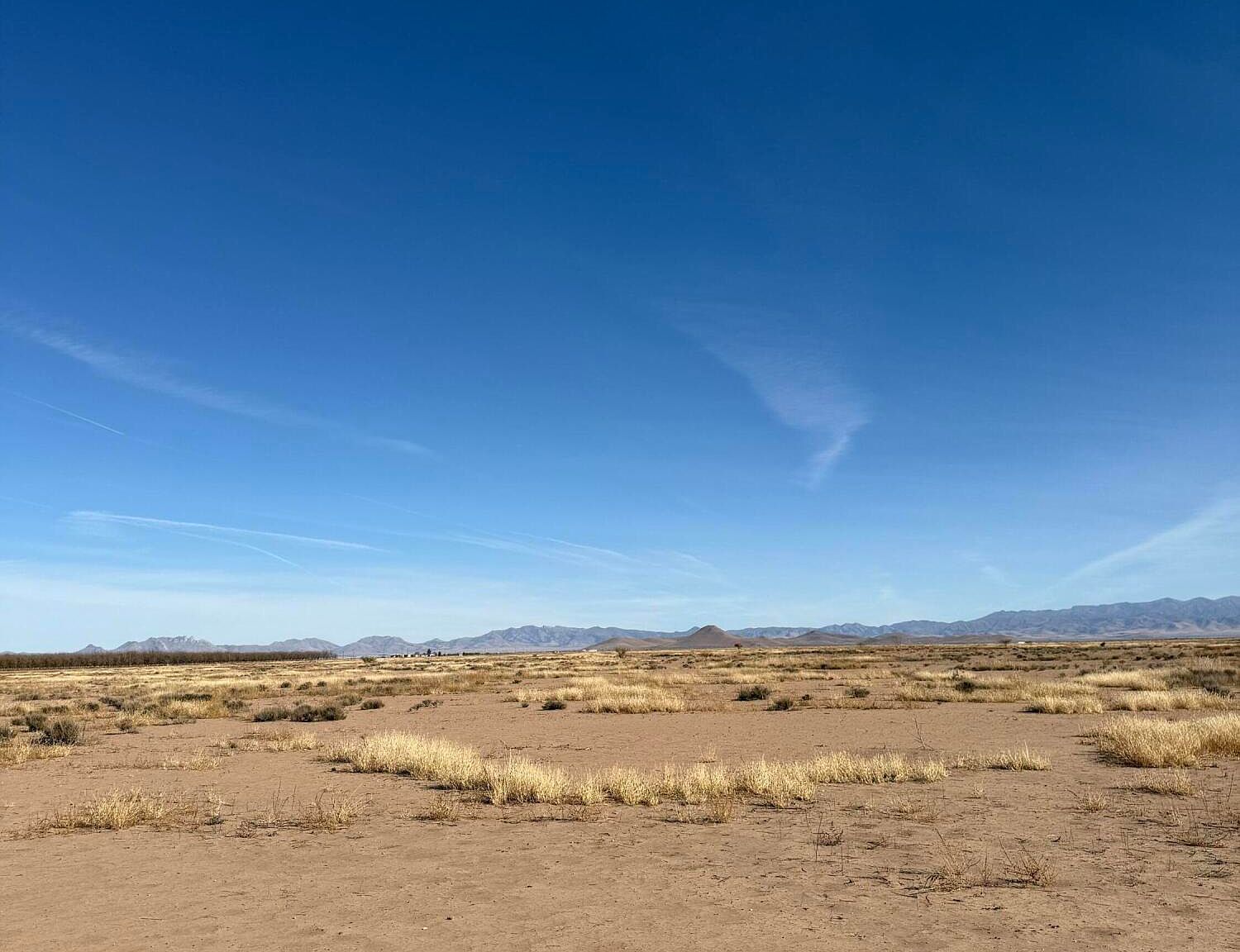 E Shelton Rd Willcox, AZ 85643  | Land/Lot