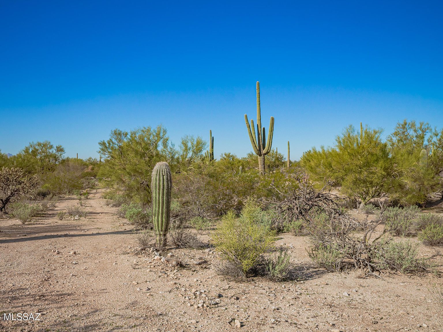 40679 S Staghorn Ln #F Marana, AZ 85658  | Land/Lot