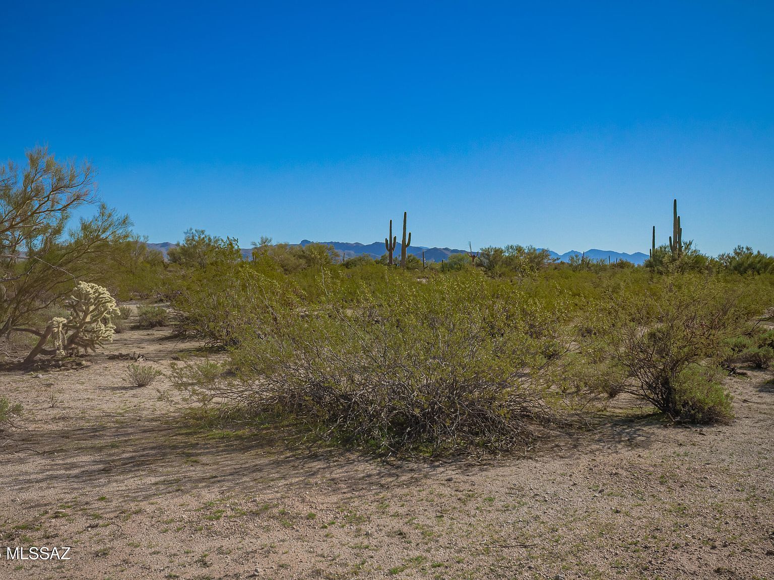 40679 S Staghorn Ln #E Marana, AZ 85658  | Land/Lot