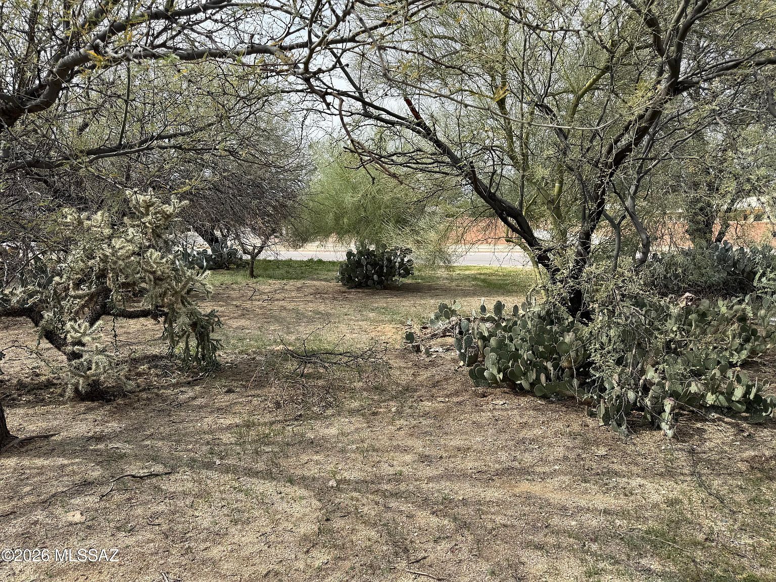 1150 N La Canoa #110 Green Valley, AZ 85614  | Land/Lot