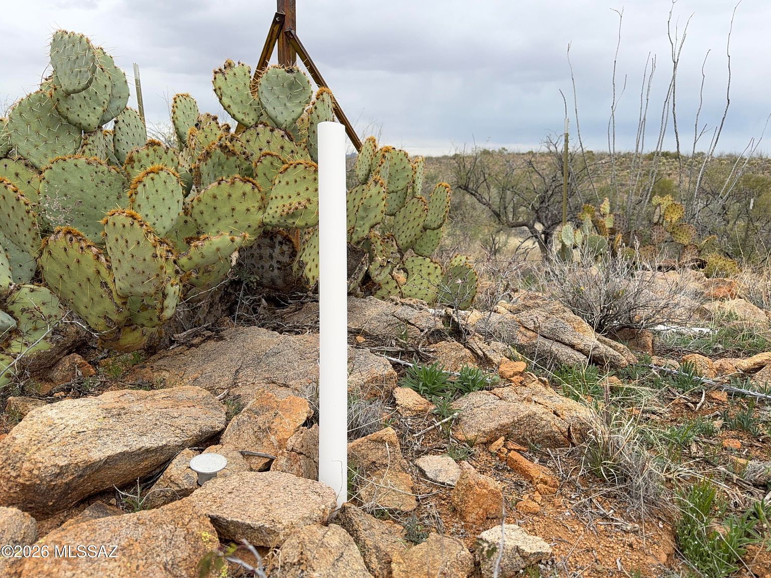 16300 S Alsip St Tucson, AZ 85736  | Land/Lot