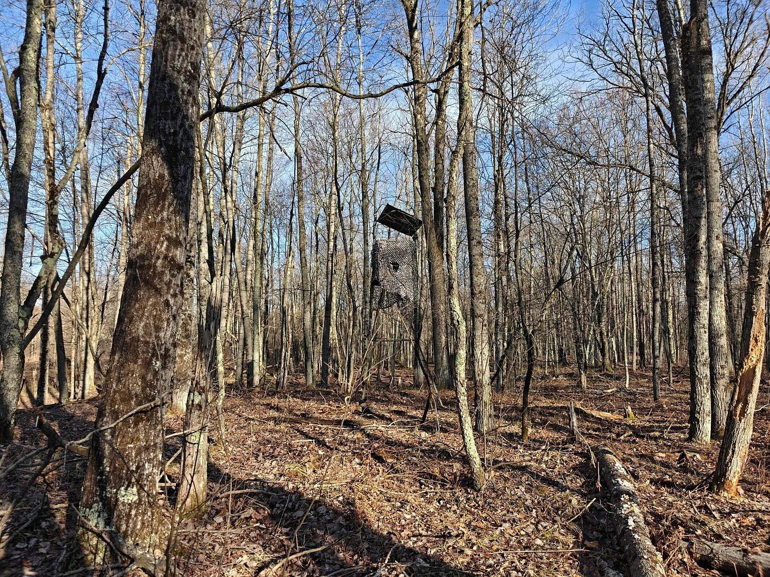 10830 W Three Mile Rd Branch, MI 49402  | Land/Lot