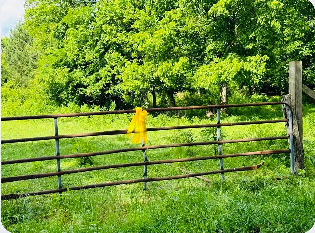 0 No Pone Valley Rd Georgetown, TN 37336  | Land/Lot