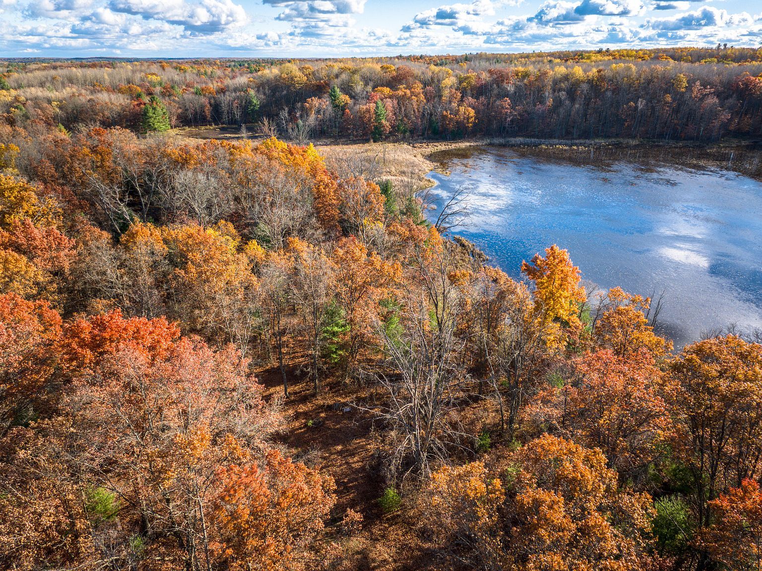 8686 E Three Mile Rd White Cloud, MI 49349 | Land/Lot