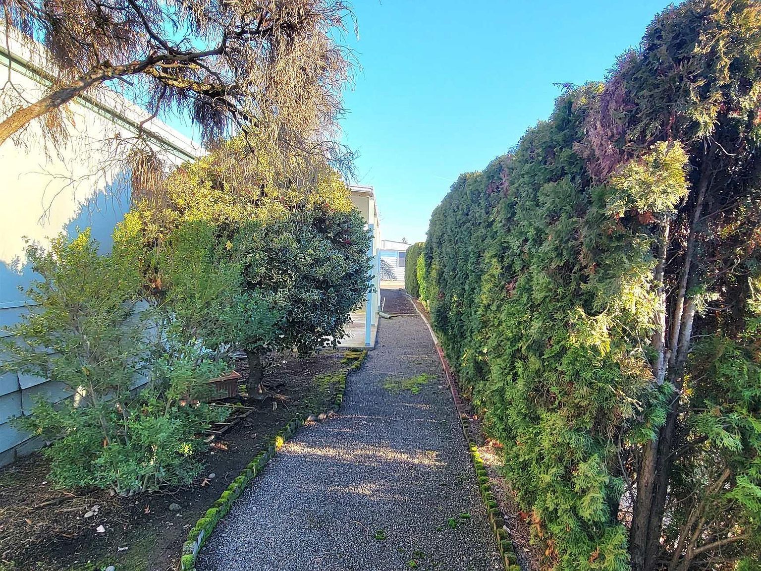 1199 N Terry St SPACE 309 Eugene, OR 97402  | New build