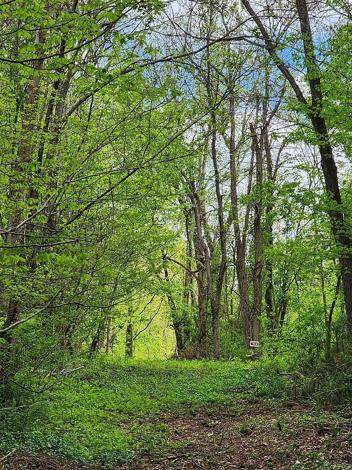 0 Rineyville Big Springs Rd Rineyville, KY 40162  | Land/Lot