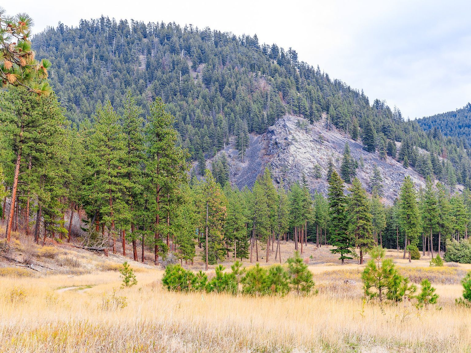 50 Bernie Rd Alberton, MT 59820  | Land/Lot