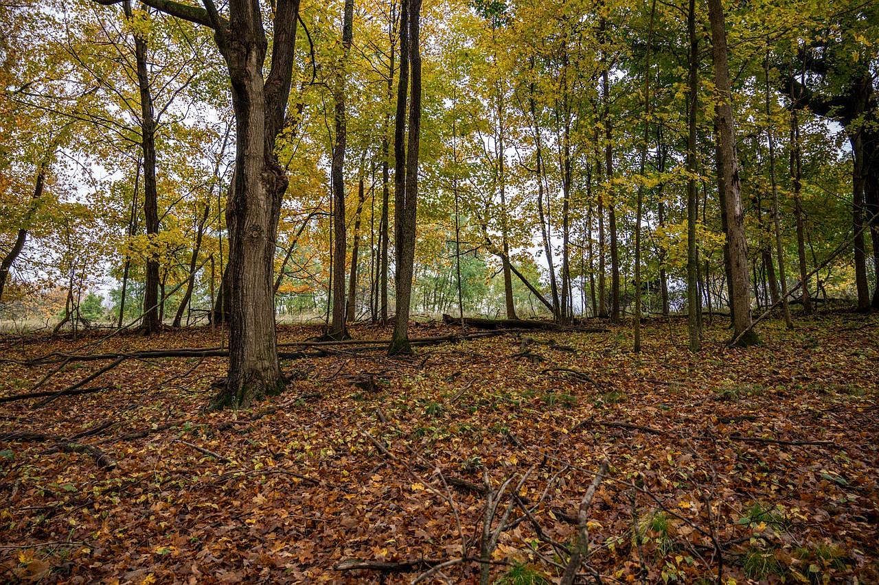 LOT 152 Pine Cone Ln La Valle, WI 53941  | Land/Lot