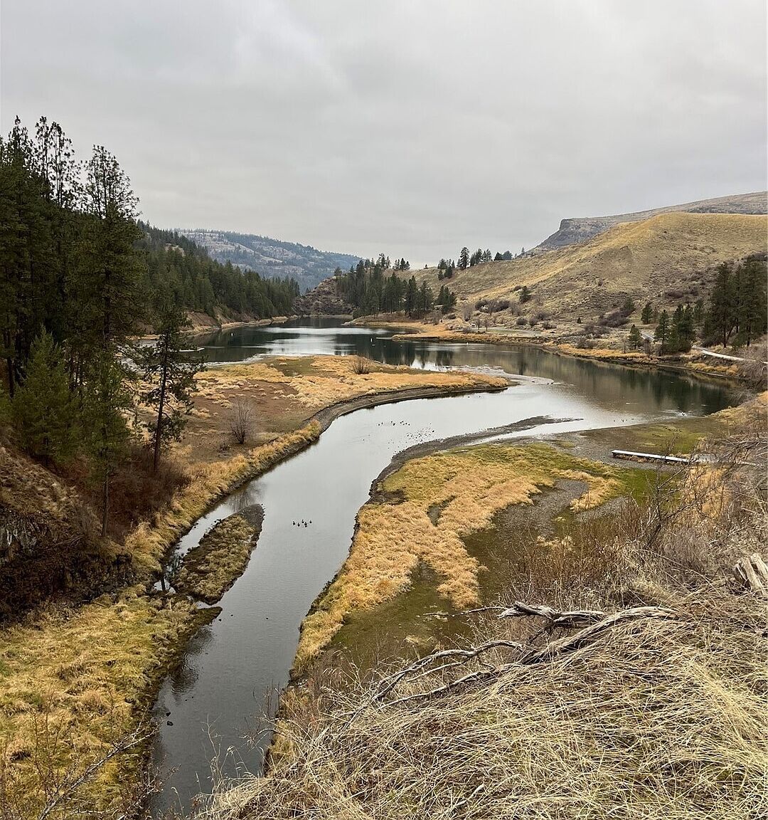 0 Miles Creston Rd N LOT 8 Davenport, WA 99122 | Land/Lot