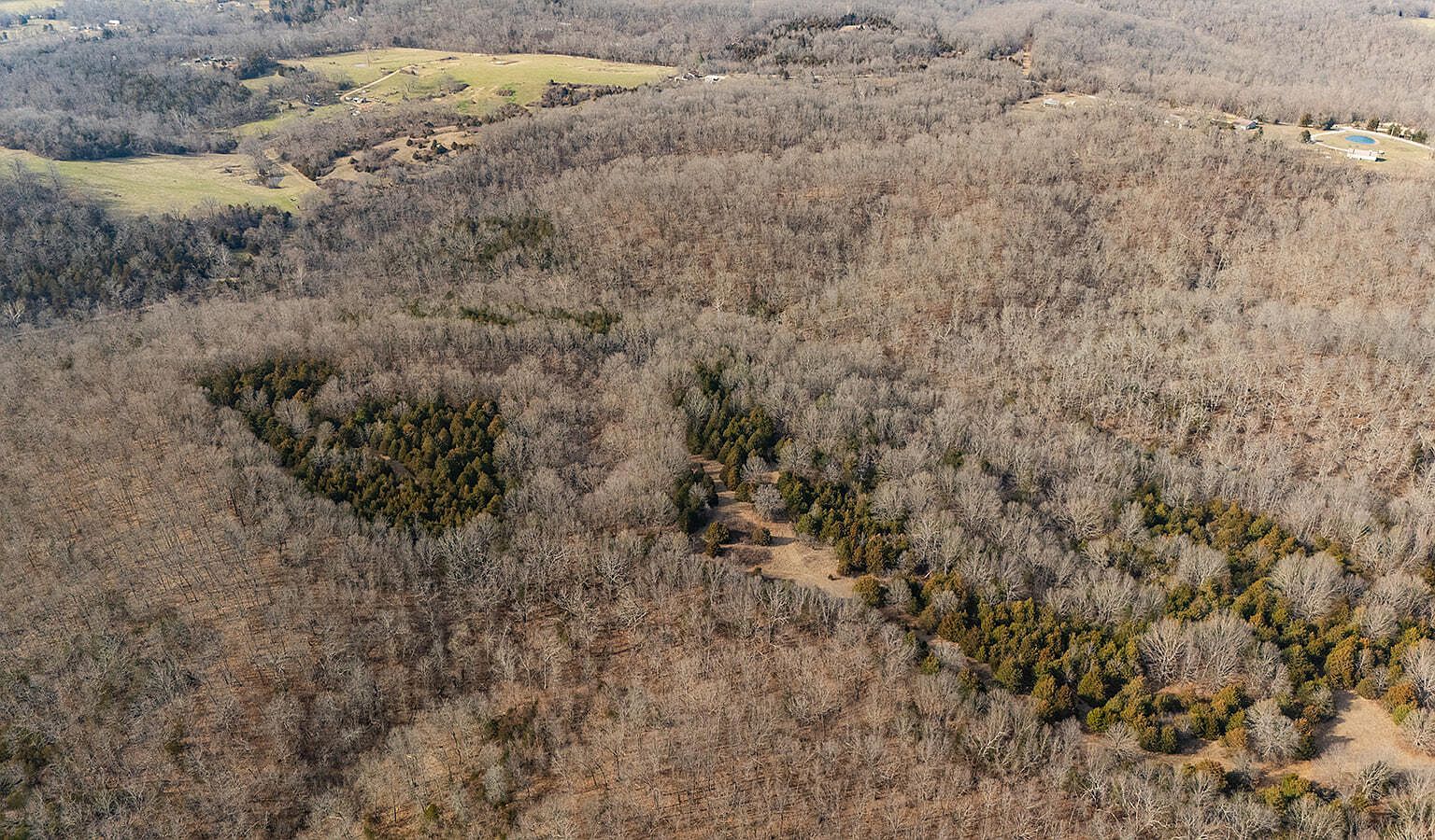 0 Abadyl Fordland, MO 65652  | Land/Lot