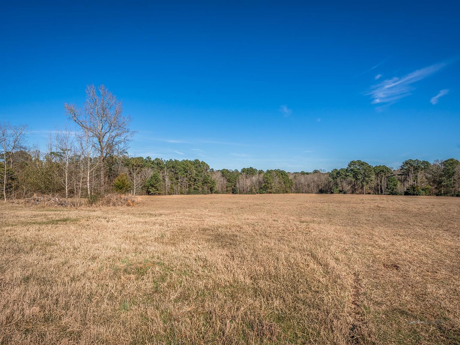 Highway 59 N Jefferson, TX 75657 | Land/Lot